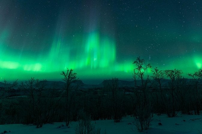 Chase the Aurora in Kiruna