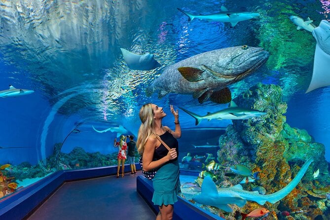 Cairns Aquarium