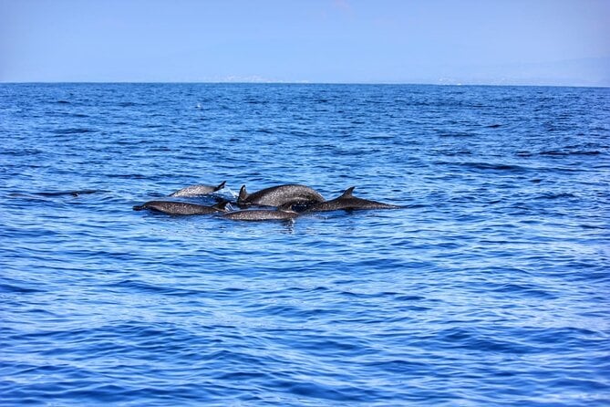 Puerto Escondido Boat Tour