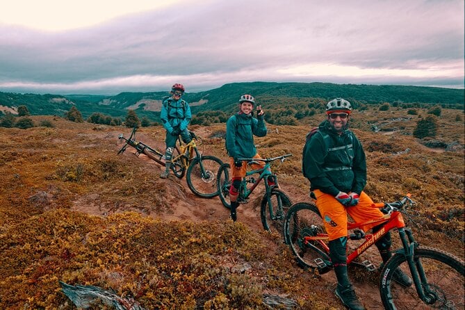 Punta Arenas City Tour