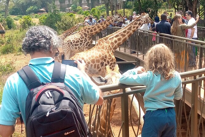 Giraffe Centre & Bomas of Kenya Tour