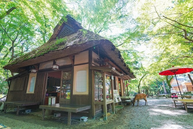 Nara Half Day Tour