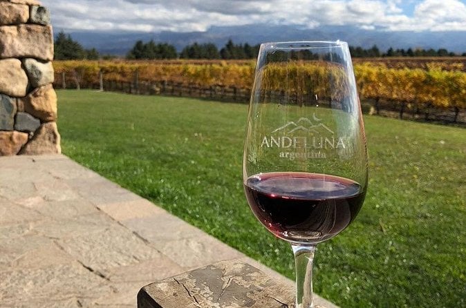 Uco Valley Wine Tour