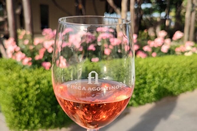 Discover Mendoza City