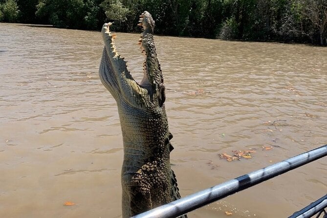 Jumping Crocodile Cruise