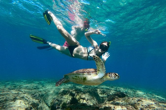 Aguadilla Tropical Snorkeling