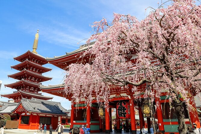 Tokyo 1-Day Bus Tour