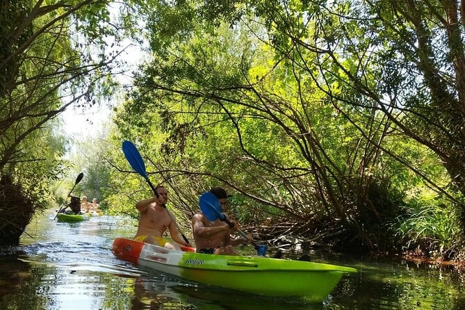Split Kayaking Adventure