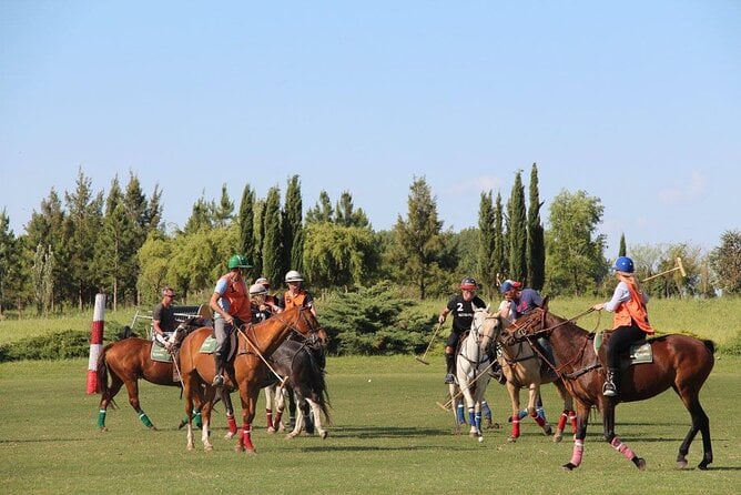 Pampas Gaucho Horseback Ride