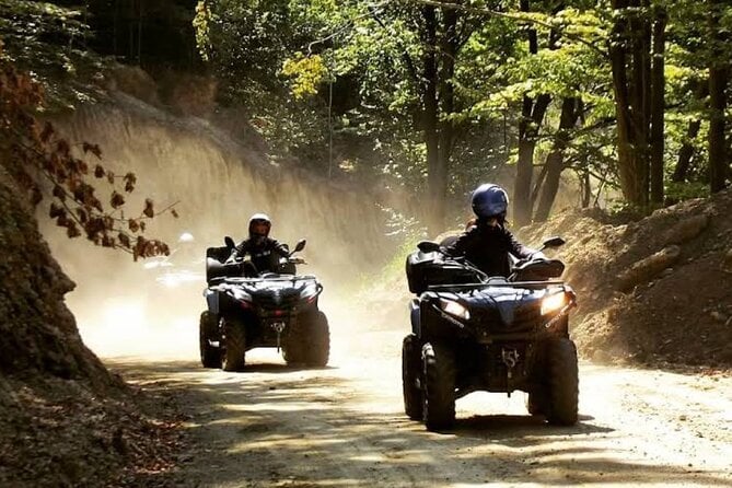 Carpathian Snowmobile Tour in Wallachia