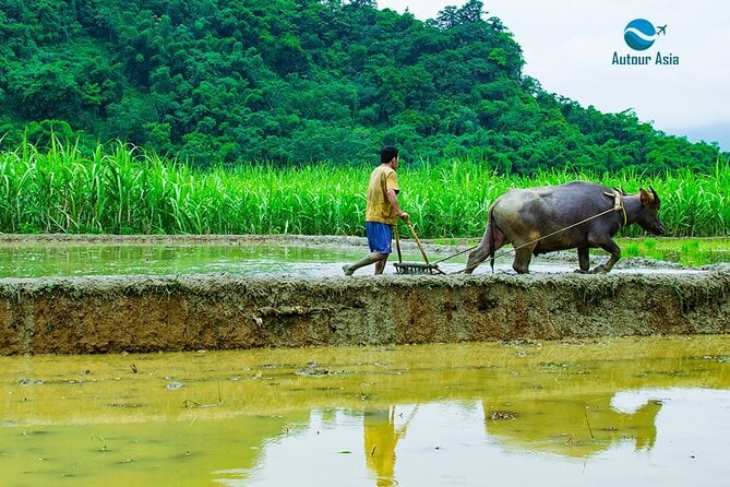 Pu Luong Nature Reserve Tour