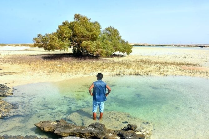 Wadi El Gemal National Park Jeep Tour