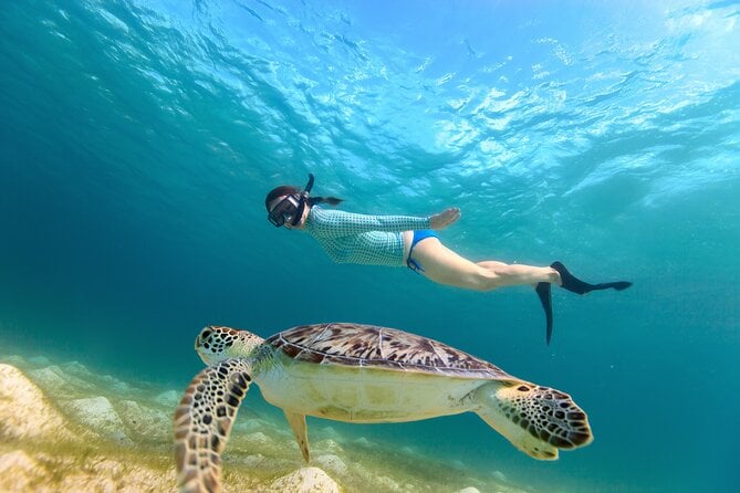 Abu Dabab Beach Snorkeling