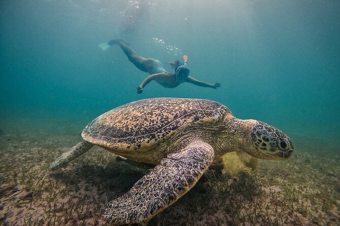 Nosy Be Island Tour