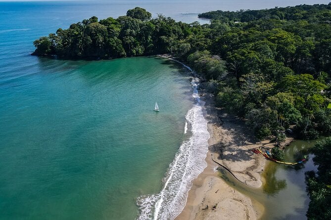 Cahuita Snorkel & Sloth Tour
