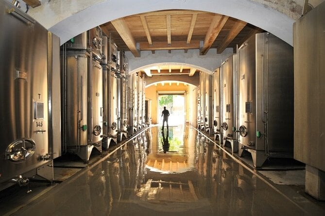 Provence Wine Tour