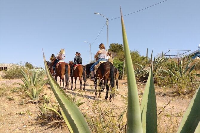 Guanajuato Hills Horseback Riding