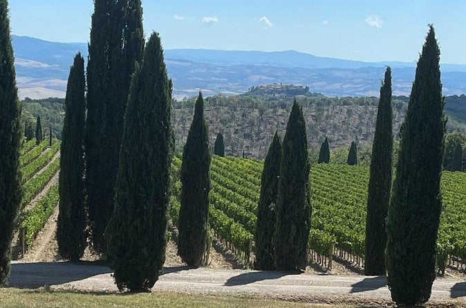 Siena Brunello Wine Tour