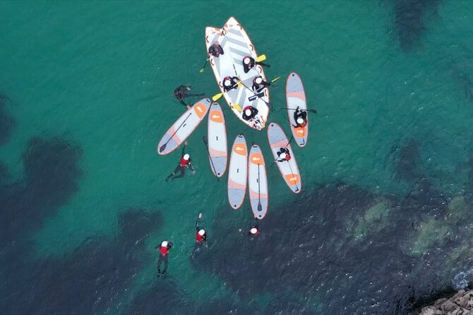 Newquay SUP Tour