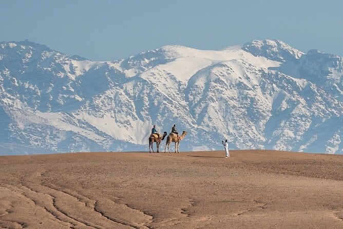 Palmeraie Camel Ride