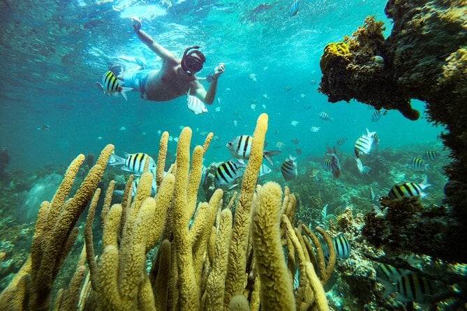 Punta Cana Scuba Doo Adventure