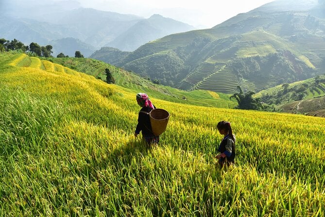 Vietnam Highlights Tour