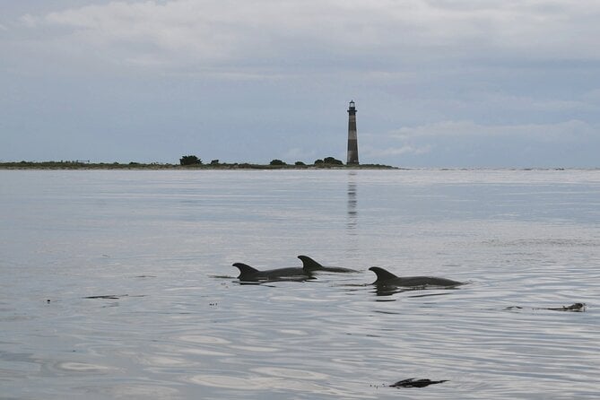 Charleston Eco Boat Cruise