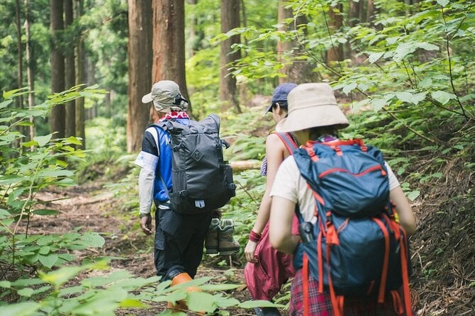 Bach Ma National Park Trekking