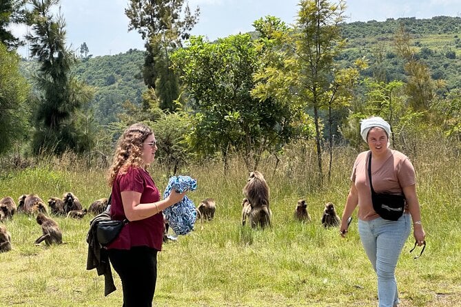 Debre Libanos Day Trip