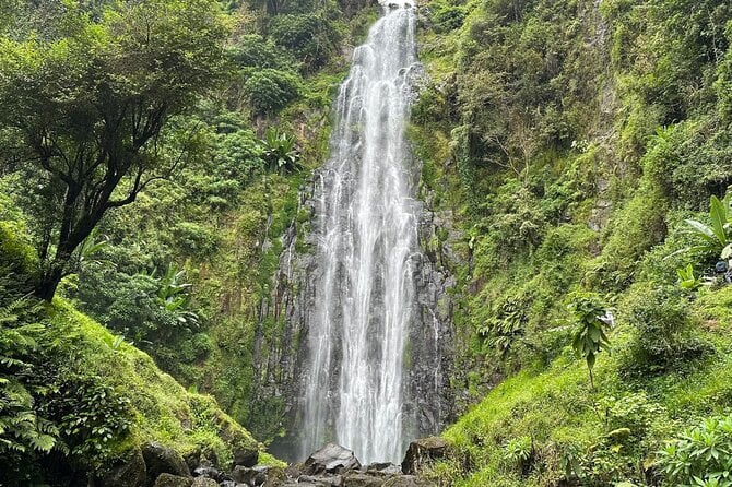 Materuni Waterfalls & Coffee Tour