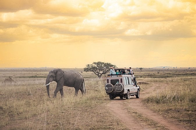 Arusha Safari Adventure