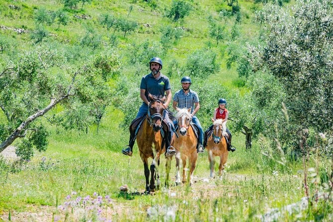 Tuscany Private Tour from Pisa