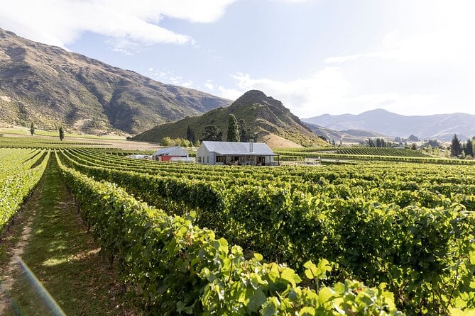 Queenstown Wine Tour