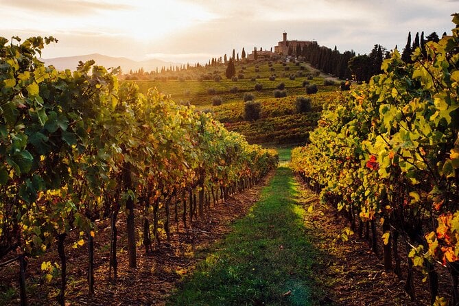 Parma Wine Tasting