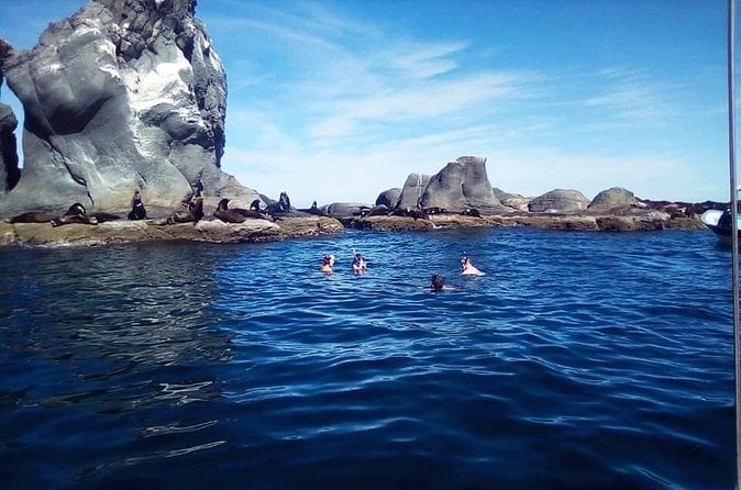 Coronado Island Tour - Loreto