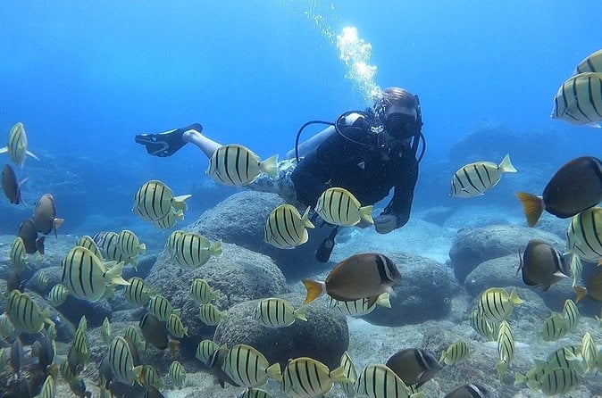 Honolulu Scuba Diving - Oahu