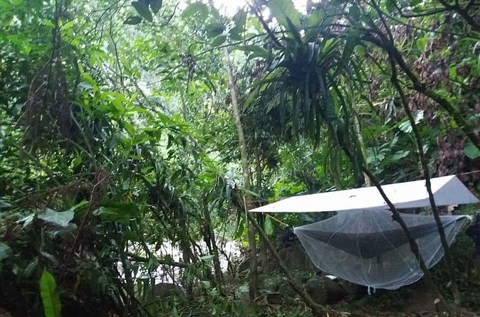 Luang Prabang Forest Camping