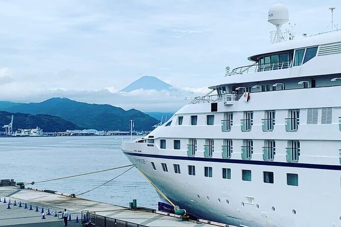 Shimizu Sightseeing Tour