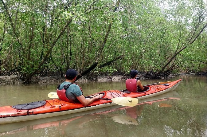 Paraty Mangrove Kayak Tour