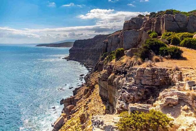 Cap Bon Day Tour