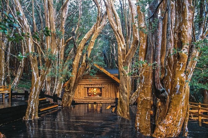 Victoria Island & Arrayanes Forest Tour