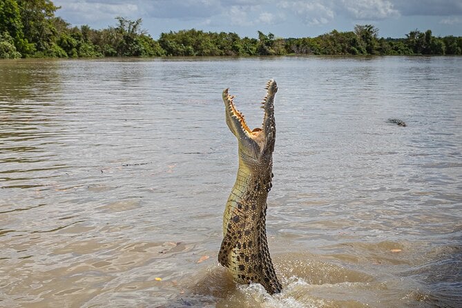 Adelaide River Crocodile Cruise