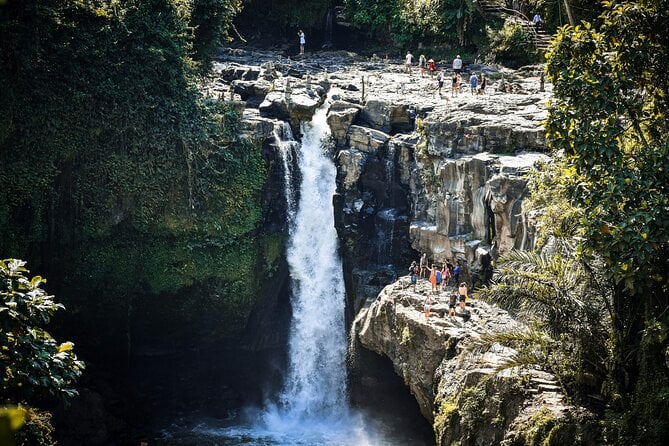 Ubud & Tanah Lot Tour