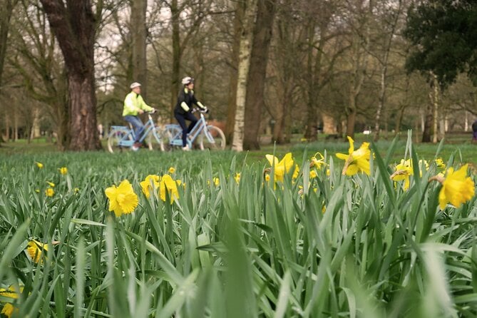 Cardiff Walking Tour