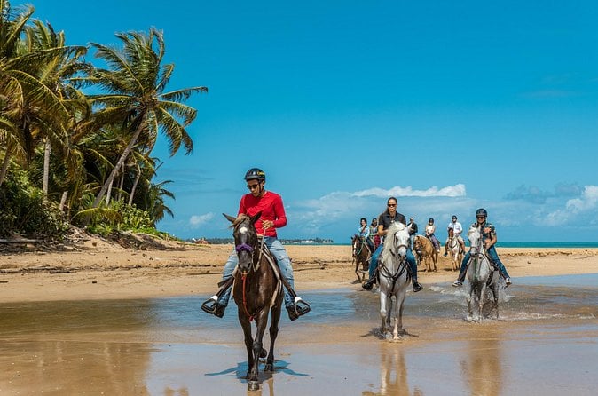 El Yunque Horseback Riding
