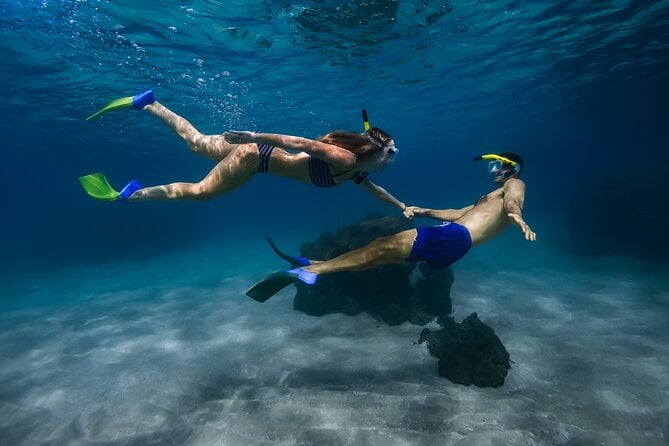 Turtle Town Snorkel Adventure