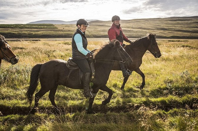 Icelandic Horse Riding