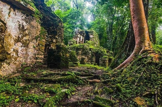 Explore Yaxchilan & Bonampak