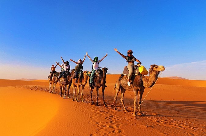 Marrakech Camel Ride