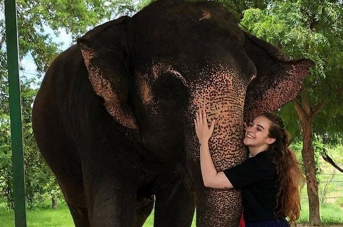 Jaipur Elephant Sanctuary